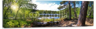 Lienzo Lago en bosque